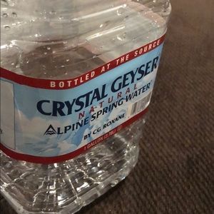 Meet your Posher, Dylan